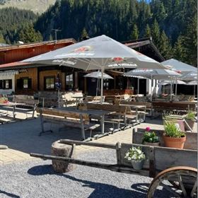 Gibler Alm 1.208 m