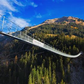 Hängebrücke Holzgau