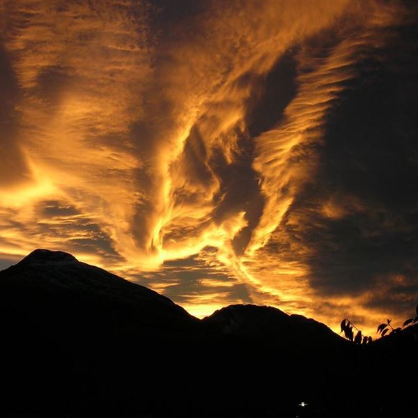 Gästehaus Auer in Holzgau