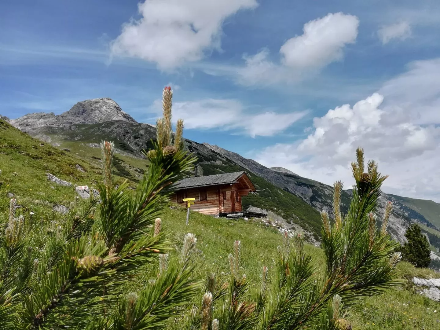 Ellbogener Spitze