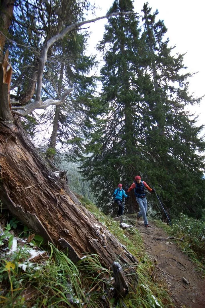 Hinterhornbach - Enzensberger Weg