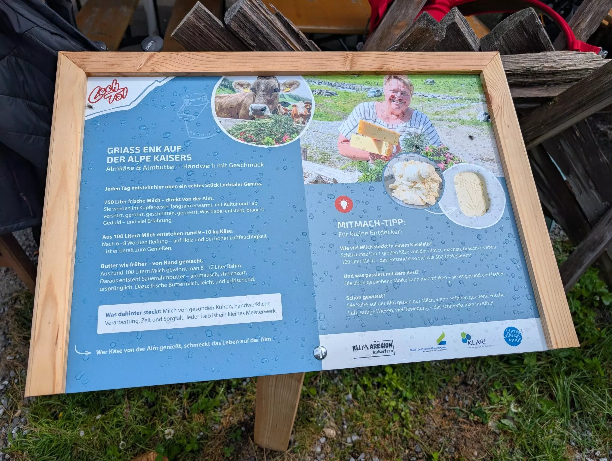 Natur- und Erlebnisweg Alpe Kaisers