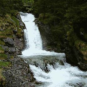 Doser waterfall circular trail