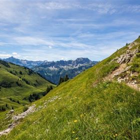 Grenzgänger Etappe 6 - Zipfelsfälle, Iseler, Kühgundkopf & Wannenjoch