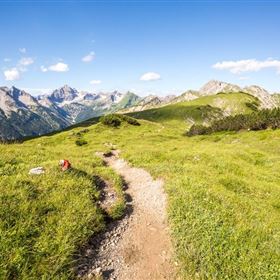 Grenzgänger Weitwanderweg - Übersicht