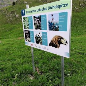 Botanischer Lehrpfad Jöchelspitze