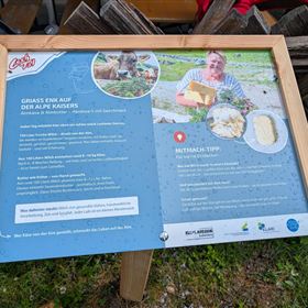 Natur- und Erlebnisweg Alpe Kaisers