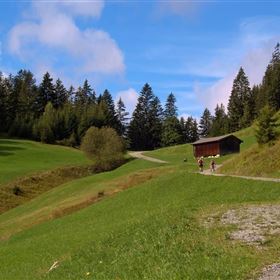 Lech loop "Forest and meadows"