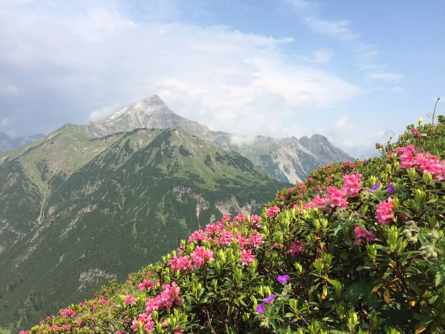 Hahntennjoch Passhöhe - Anhalter Hütte